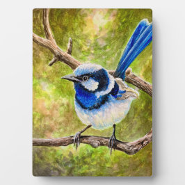Placa Expositora Blue Wren -