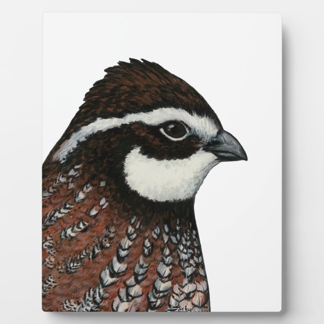 Placa Expositora Bobwhite Quail Head (Frente)