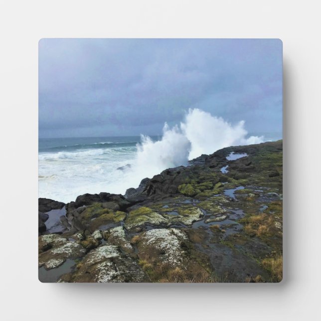 Placa Expositora Boiler Bay State Wayside, Depoe Bay, Oregon (Frente)