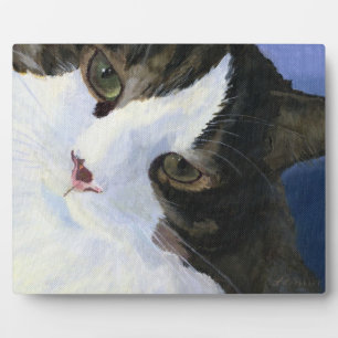 Placa Expositora Bonito Kitty