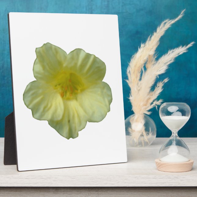 Placa Expositora Bonito Nasturtium Plaque (Lado)