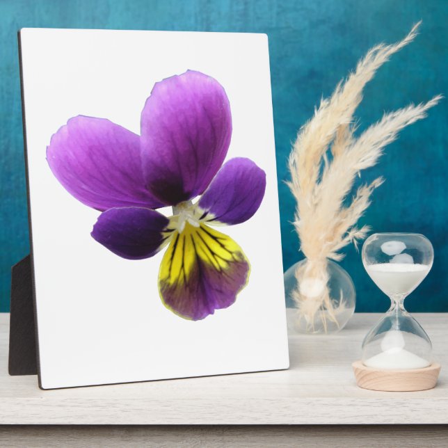 Placa Expositora Bonito Pansy Plaque (Lado)