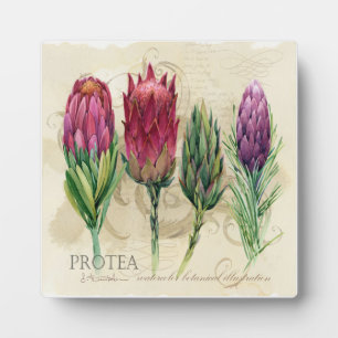 Placa Expositora Bonito Protea Plaque