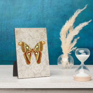 Placa Expositora Bonito Vintage Moth Botanop