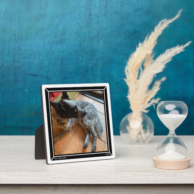 Placa Expositora Borde negro plano fotográfico HAMbWG (in situ)