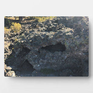 Placa Expositora Bosque de cuenca de lava, O