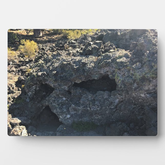 Placa Expositora Bosque de cuenca de lava, O (Frente)