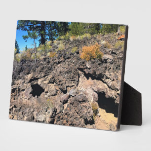 Placa Expositora Bosque de cuenca de lava, O