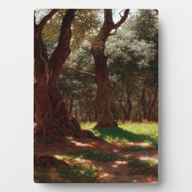 Placa Expositora Bosque de olivos en Cap Saint Martin (Frente)