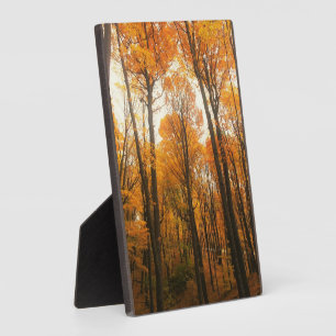 Placa Expositora Bosque de otoño naranja