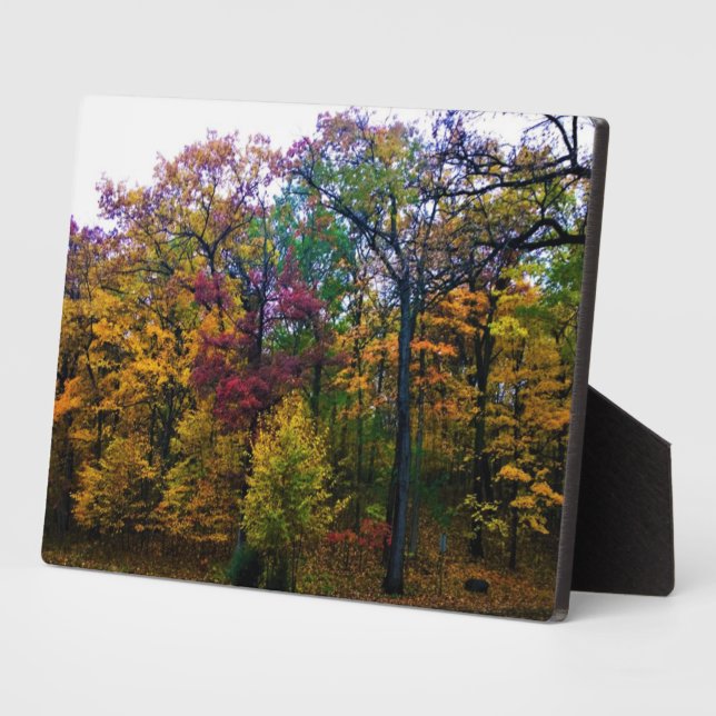 Placa Expositora Bosque de otoño oscuro (Lado)