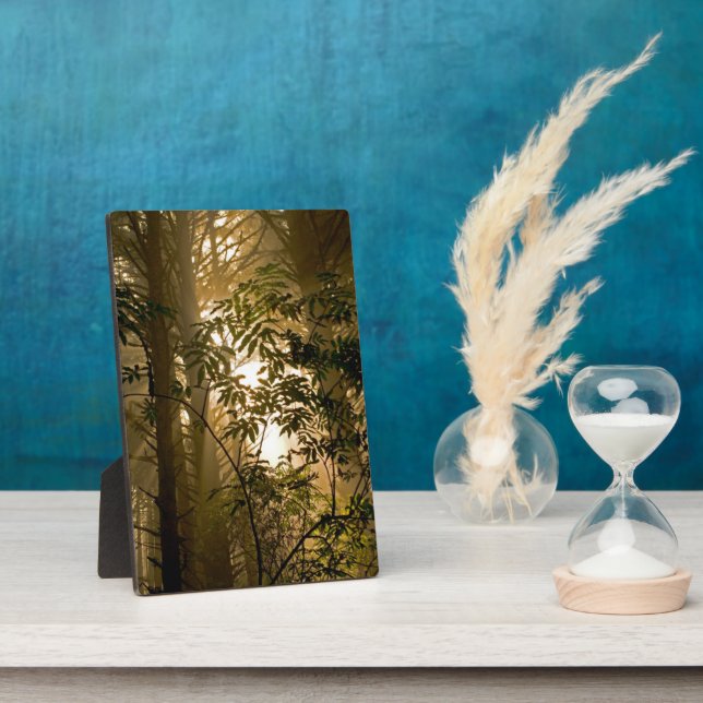 Placa Expositora Bosque Evergreen | Costa de Oregón (Lado)