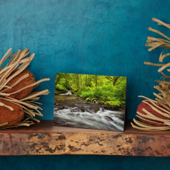 Placa Expositora Bosque Nacional Siuslaw, Creek dulce, Oregón (Lado)