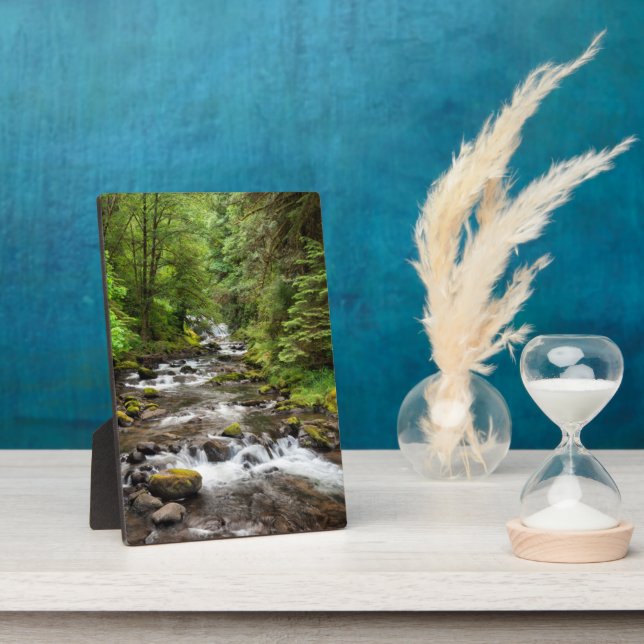 Placa Expositora Bosque Nacional Siuslaw | Sweet Creek (Lado)