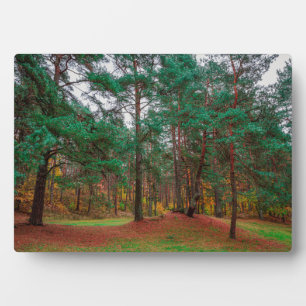 Placa Expositora Bosque otoñal