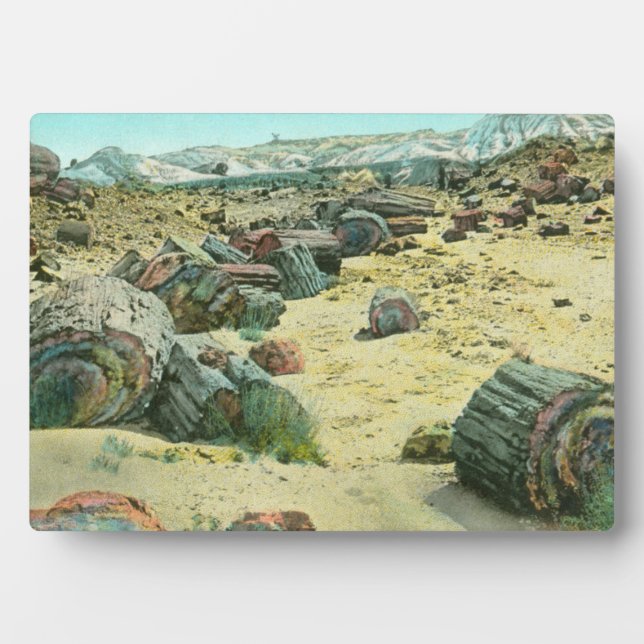 Placa Expositora Bosque Petrificado (Frente)