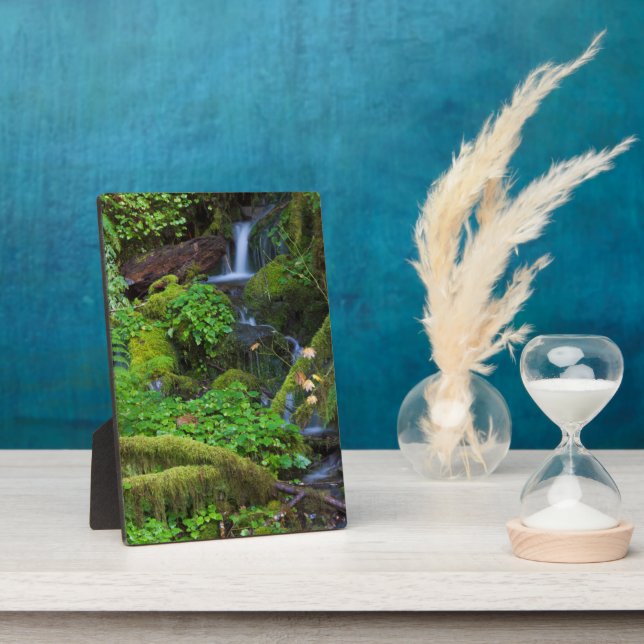 Placa Expositora Bosque tropical otoñal | Parque nacional olímpico (Lado)