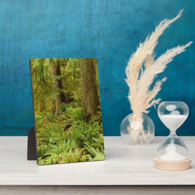 Placa Expositora Bosques y fermentos exuberantes | Parque Estatal E (Lado)