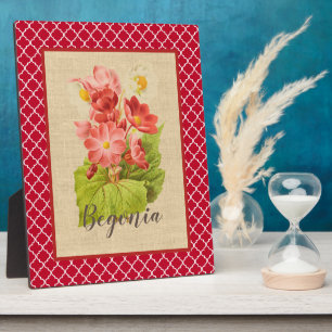 Placa Expositora Botánica y cuatrefoil de la Begonia Roja