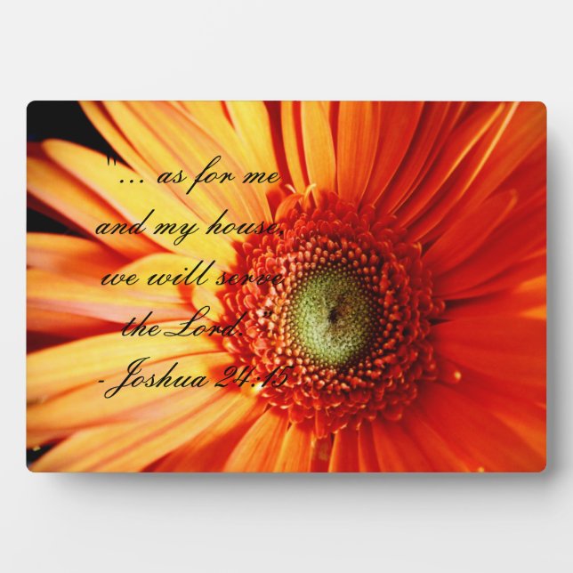 Placa Expositora Bright Naranja Daisy (Frente)