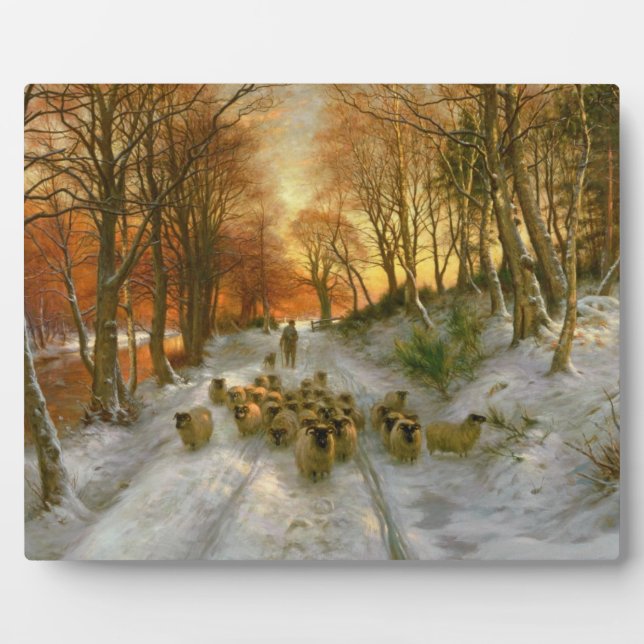 Placa Expositora Brillante con toques de horas nocturnas (Frente)