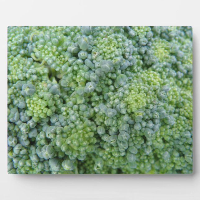 Placa Expositora Broccoli Macro Plaque (Frente)