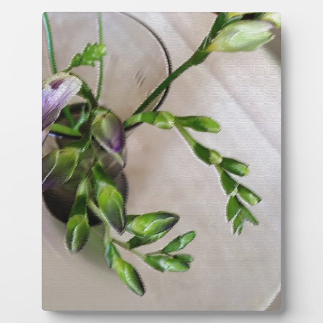 Placa Expositora brotes morados de freesia (Frente)