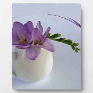 Placa Expositora brotes morados de freesia