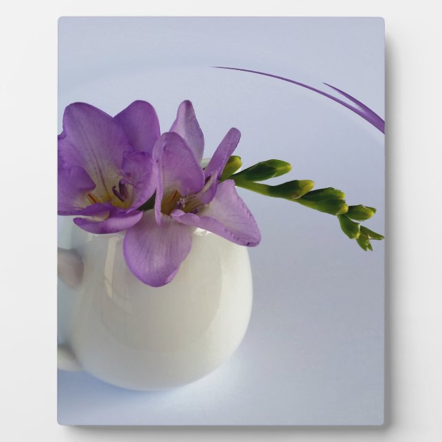 Placa Expositora brotes morados de freesia (Frente)