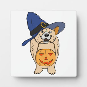 Placa Expositora Bruja de Calabaza Perro