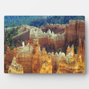 Placa Expositora Bryce Canyon