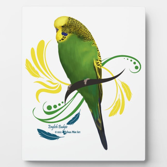 Placa Expositora Budgie inglesa verde (Frente)