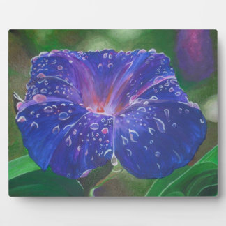 Placa Expositora Buenos días Pétalos de Gloria (Ipomoea Purpurea) y