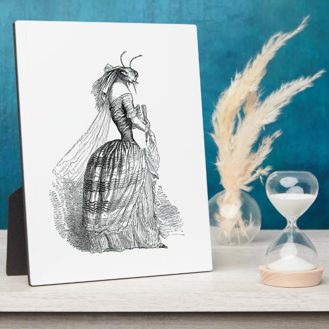 Placa Expositora Bug Bustle (Lado)