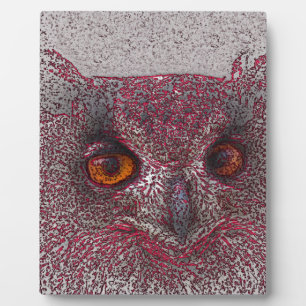 Placa Expositora Búho etéreo