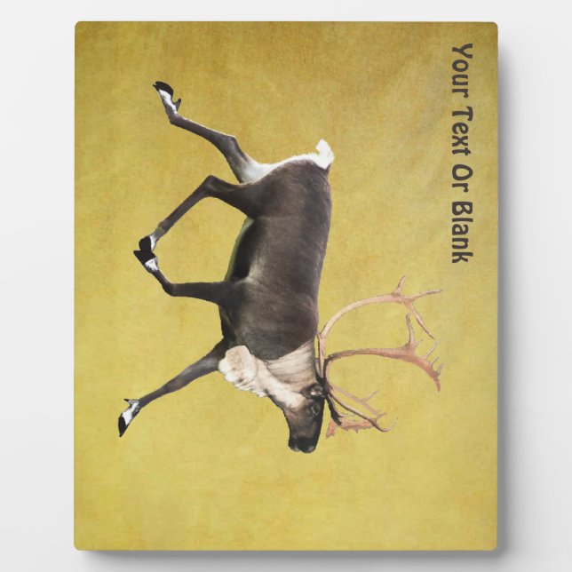 Placa Expositora Bull Caribou (Frente)