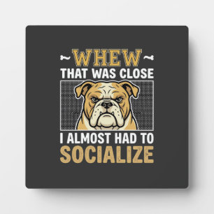 Placa Expositora Bulldog Divertido Socializar Perro