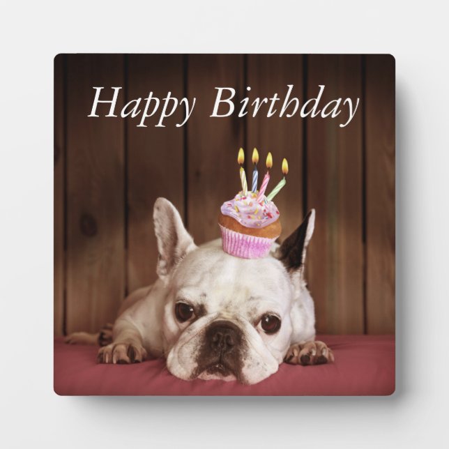 Placa Expositora Bulldog Francés Con Pastel De Cumpleaños (Frente)