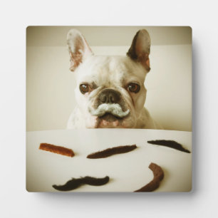 Placa Expositora Bulldog Francés Con Un Mustache