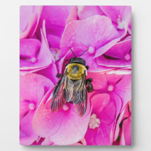 Placa Expositora Bumble Bee En Hydrangea