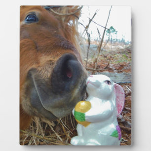 Placa Expositora Bunny de Pascua y caballo marrón