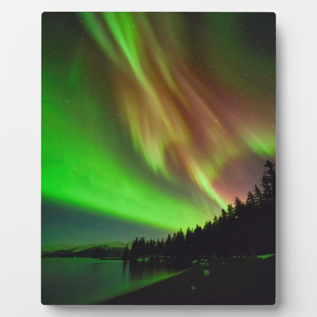 Placa Expositora Burgundy Aurora (Frente)