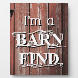 Placa Expositora Búsqueda de barras