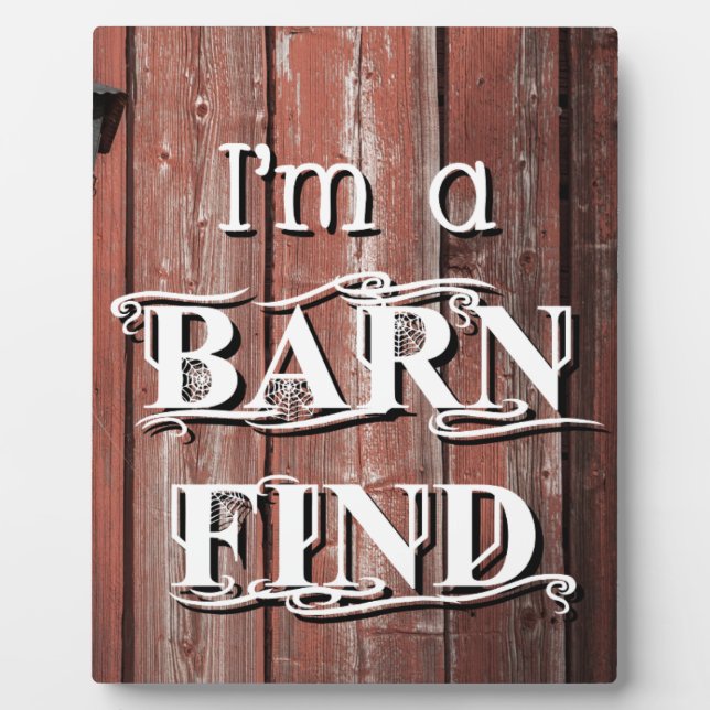 Placa Expositora Búsqueda de barras (Frente)