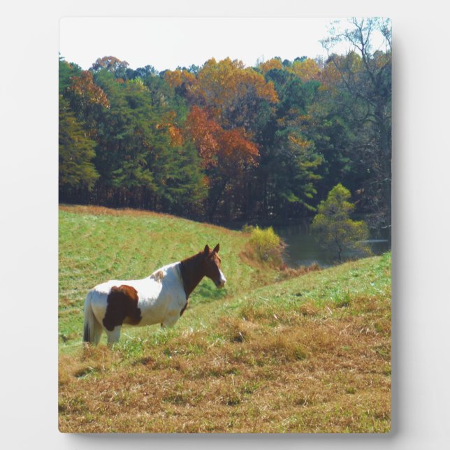 Placa Expositora Caballo blanco y marrón, estanque otoñal (Frente)