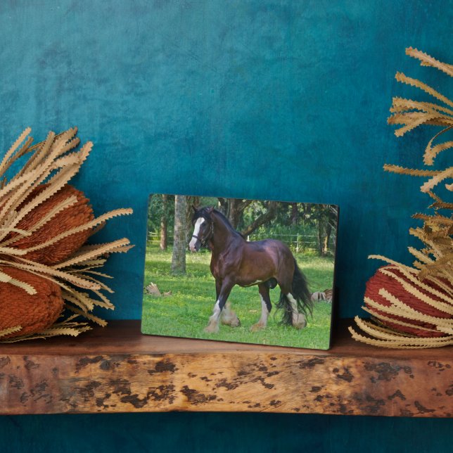 Placa Expositora Caballo Clydesdale (Lado)