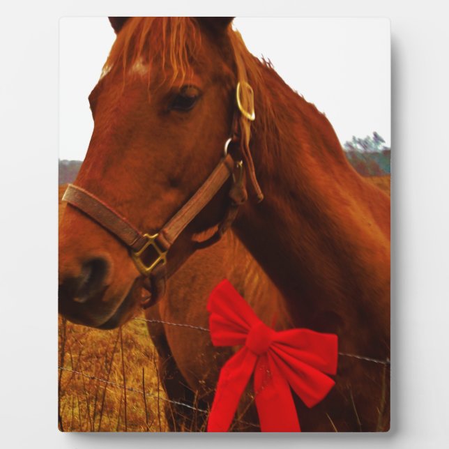Placa Expositora Caballo con lazo rojo (Frente)