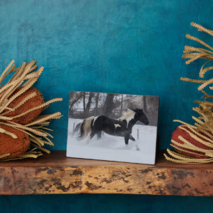 Placa Expositora Caballo corriendo por la nieve