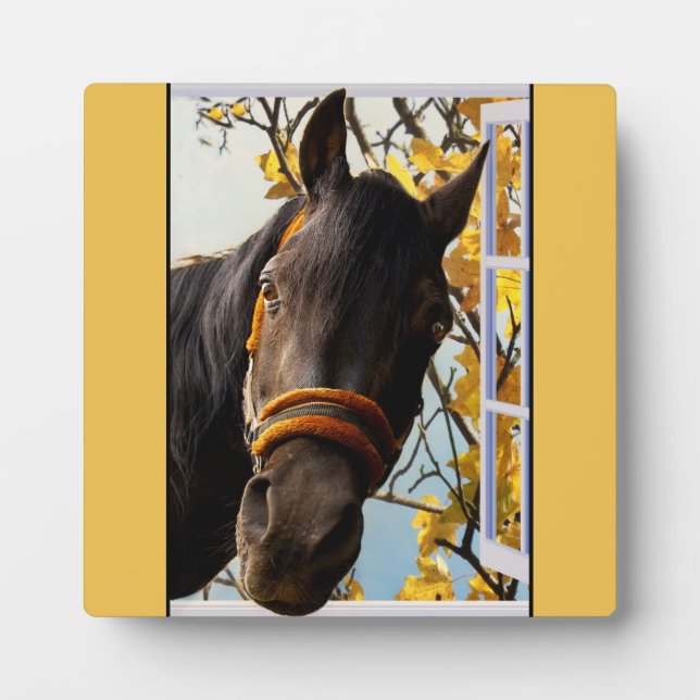 Placa Expositora Caballo Curioso Mirando Por La Ventana De La Cocin (Frente)