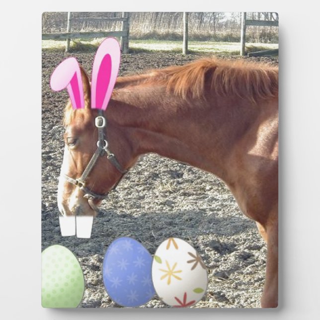 Placa Expositora Caballo de castaño de Pascua (Frente)